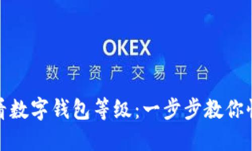 如何查看数字钱包等级：一步步教你快速掌握