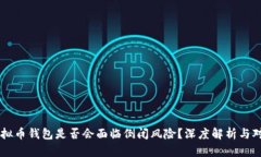 虚拟币钱包是否会面临倒闭风险？深度解析与对