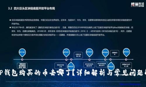 在TP钱包购买的币去哪了？详细解析与常见问题解答