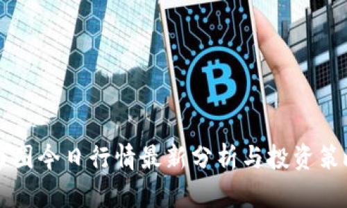 币圈今日行情最新分析与投资策略
