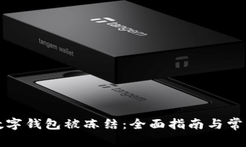 如何应对数字钱包被冻结：全面指南与常见问题解答