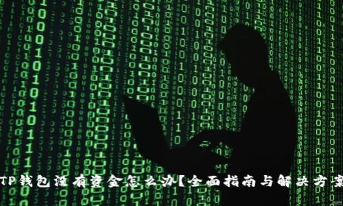 TP钱包没有资金怎么办？全面指南与解决方案