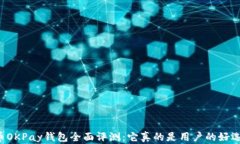虚拟币OKPay钱包全面评测：