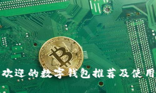 最受欢迎的数字钱包推荐及使用指南