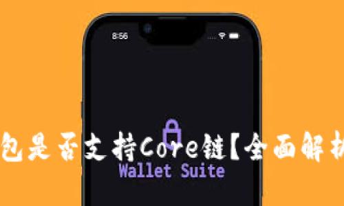 ### TP钱包是否支持Core链？全面解析与使用指南