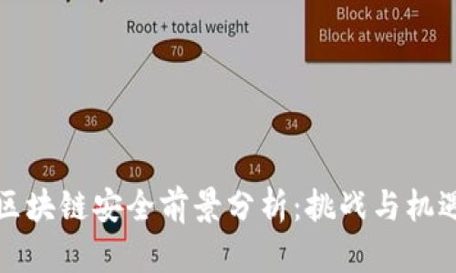 区块链安全前景分析：挑战与机遇