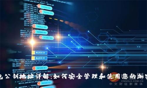 TP钱包公钥地址详解：如何安全管理和使用您的加密资产