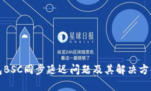 TP钱包BSC同步延迟问题及其解决方案分析