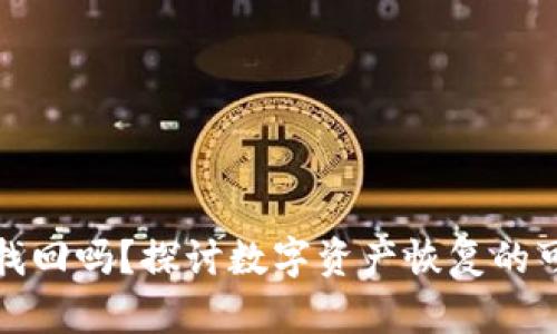 TP钱包支持找回吗？探讨数字资产恢复的可能性与流程