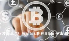 如何通过TP Wallet获取BNB：全面指南