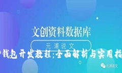 TP钱包开发教程：全面解析与实用指南