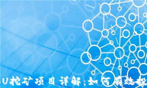 
TP钱包存U挖矿项目详解：如何有效投资与参与