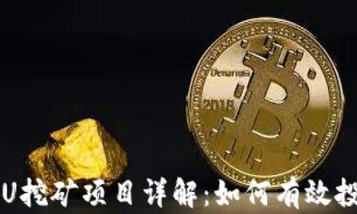 
TP钱包存U挖矿项目详解：如何有效投资与参与