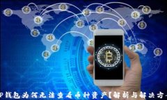 TP钱包为何无法查看币种资产？解析与解决方案