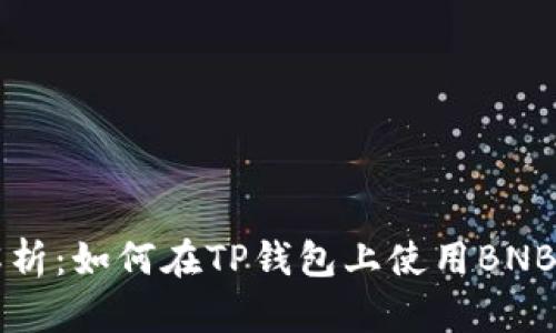 全面解析：如何在TP钱包上使用BNB测试网