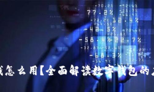 数字钱包里的钱怎么用？全面解读数字钱包的应用场景与优势