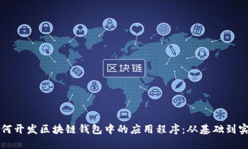 如何开发区块链钱包中的应用程序：从基础到实践