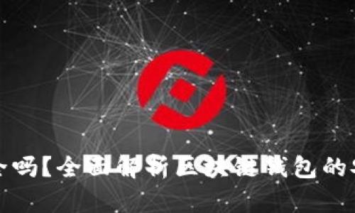 区块链钱包安全吗？全面解析区块链钱包的安全性与可靠性