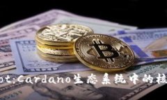 深入解读Dot：Cardano生态系