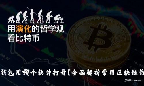 区块链钱包用哪个软件打开？全面解析常用区块链钱包软件