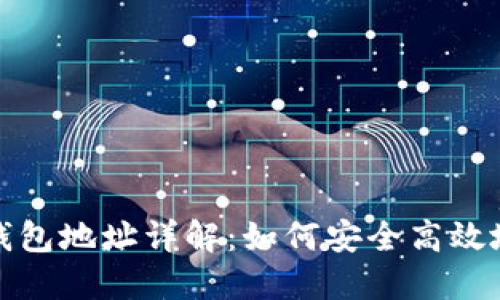 : 莱特币数字钱包地址详解：如何安全高效地管理你的财产