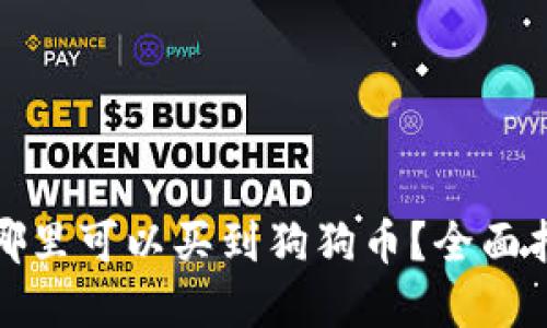 在哪里可以买到狗狗币？全面指南