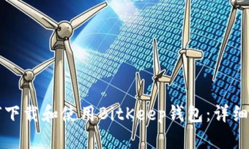 如何下载和使用BitKeep钱包：详细指南