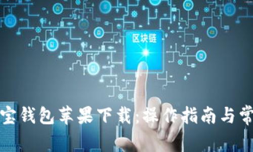全面解析购宝钱包苹果下载：操作指南与常见问题解答