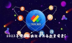 2023年哪些区块链币具备投资前景？