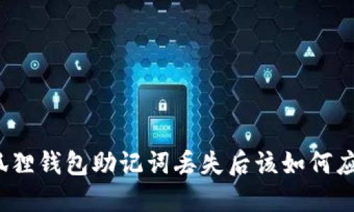 小狐狸钱包助记词丢失后该如何应对？