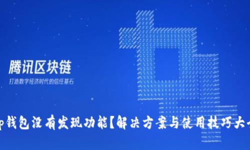 tp钱包没有发现功能？解决方案与使用技巧大全