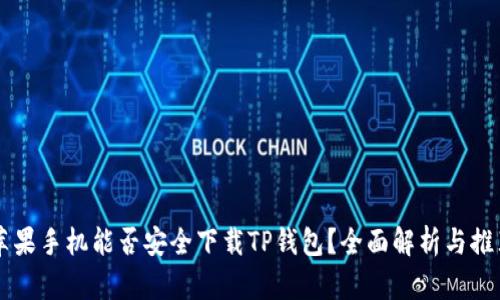 苹果手机能否安全下载TP钱包？全面解析与推荐
