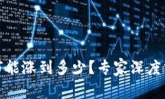 狗狗币下个牛市能涨到多