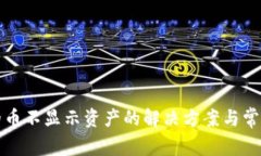 TP钱包中的币不显示资产的