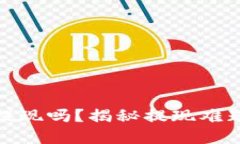 数字钱包能提现吗？揭秘