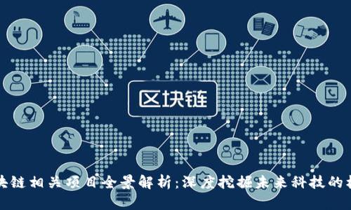 区块链相关项目全景解析：深度挖掘未来科技的机会