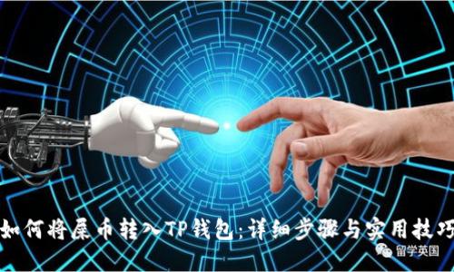 如何将屎币转入TP钱包：详细步骤与实用技巧