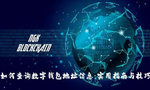 如何查询数字钱包地址信息：实用指南与技巧