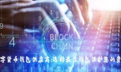 数字货币钱包供应商：选择最佳钱包保护您的资