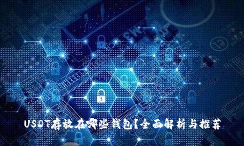 USDT存放在哪些钱包？全面解析与推荐