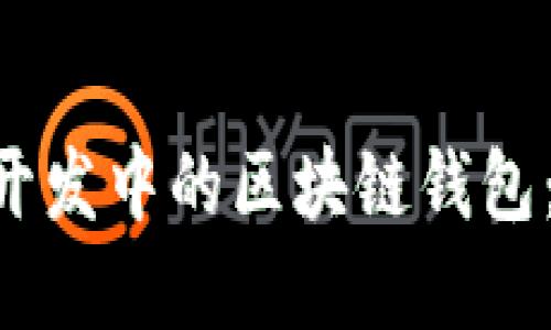 深入了解区块链开发中的区块链钱包：定义、类型及应用