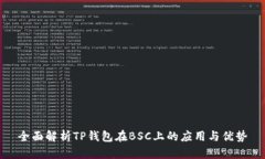 全面解析TP钱包在BSC上的应