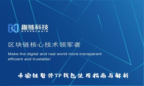 币安链暂停TP钱包使用指南与解析