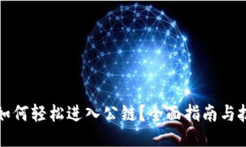 概述

TP钱包如何轻松进入公链？全面指南与技巧分享