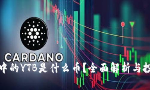TP钱包中的YTB是什么币？全面解析与投资价值