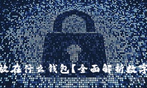 数字货币应该放在什么钱包？全面解析数字货币钱包选择