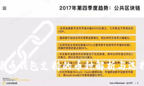 数字货币钱包支持的币种解析与选择指南