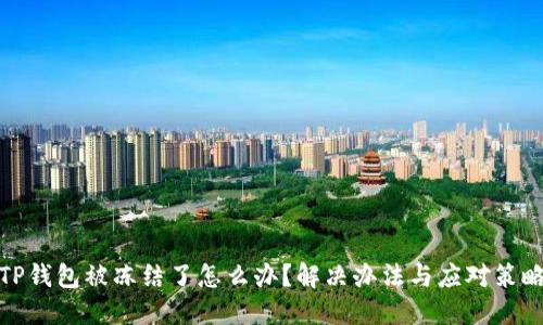 TP钱包被冻结了怎么办？解决办法与应对策略