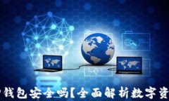 币放在TP钱包安全吗？全面