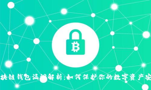 区块链钱包漏洞解析：如何保护你的数字资产安全
